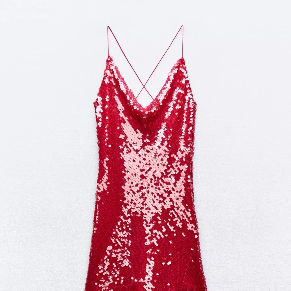 Zara Sequin Dress